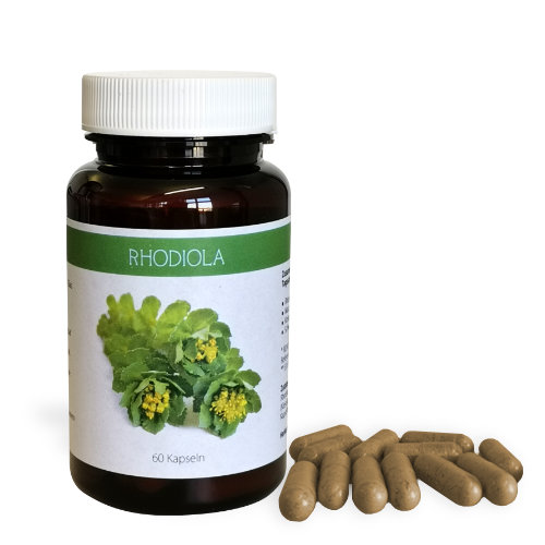 Rhodiola
